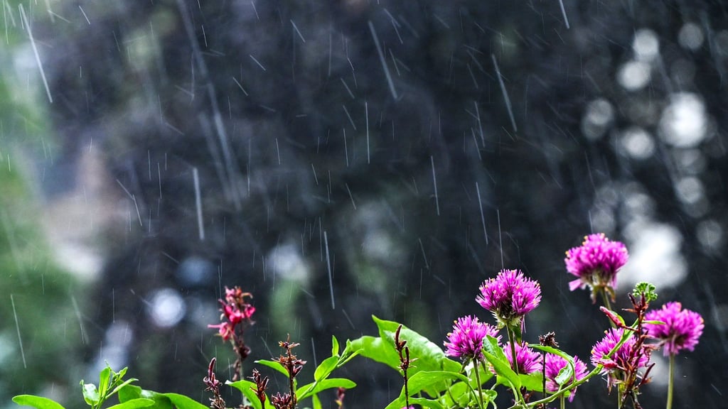 Regen und Wolken bestimmen den Sonntag – erst ab Mittwoch wird’s freundlicher. (Archivbild)