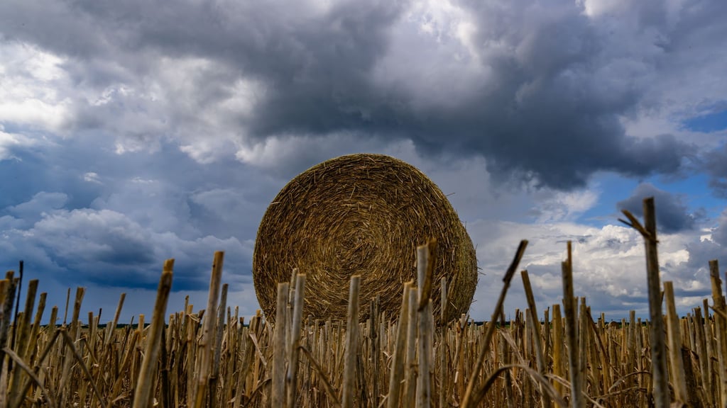Der heutige Regen wird nach Angaben des Wetterdienstes in Richtung Osten abziehen. (Symbolbild)