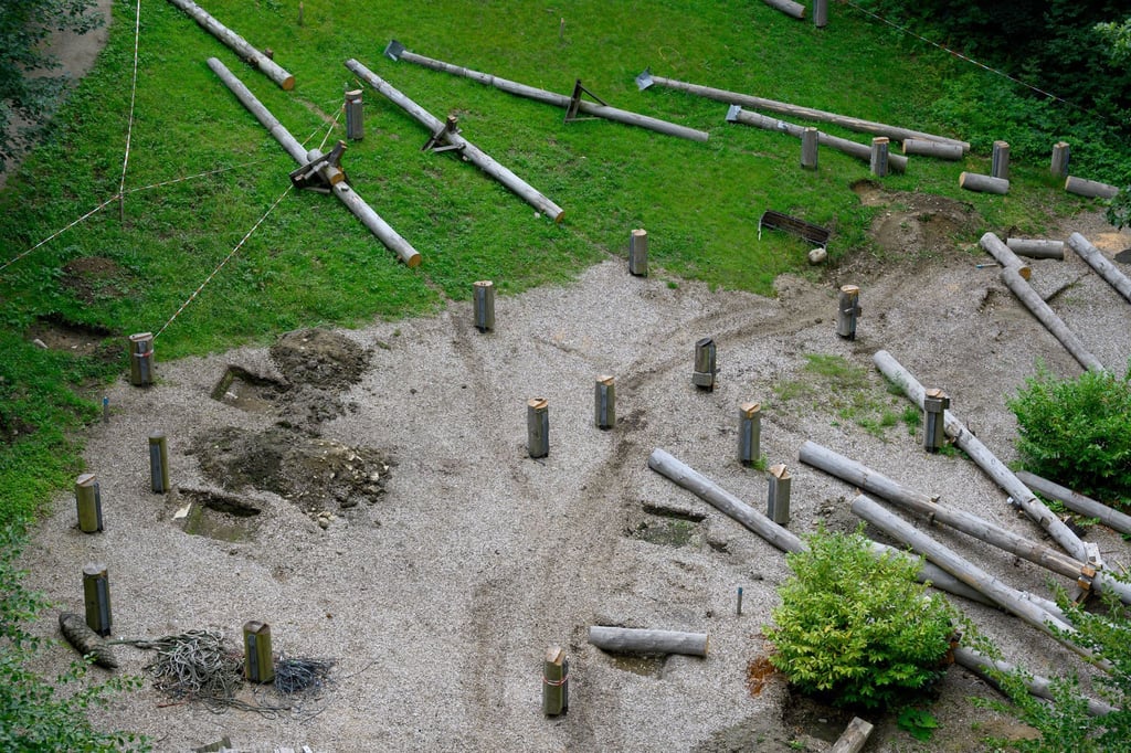 Gleich neben dem Baumwipfelpfad in Bad Harburg soll auf der Fläche des ehemaligen Hochseilgartens in luftiger Höhe die sogenannte Wipfel-Erlebnis-Welt mit Freifalltürmen entstehen.
