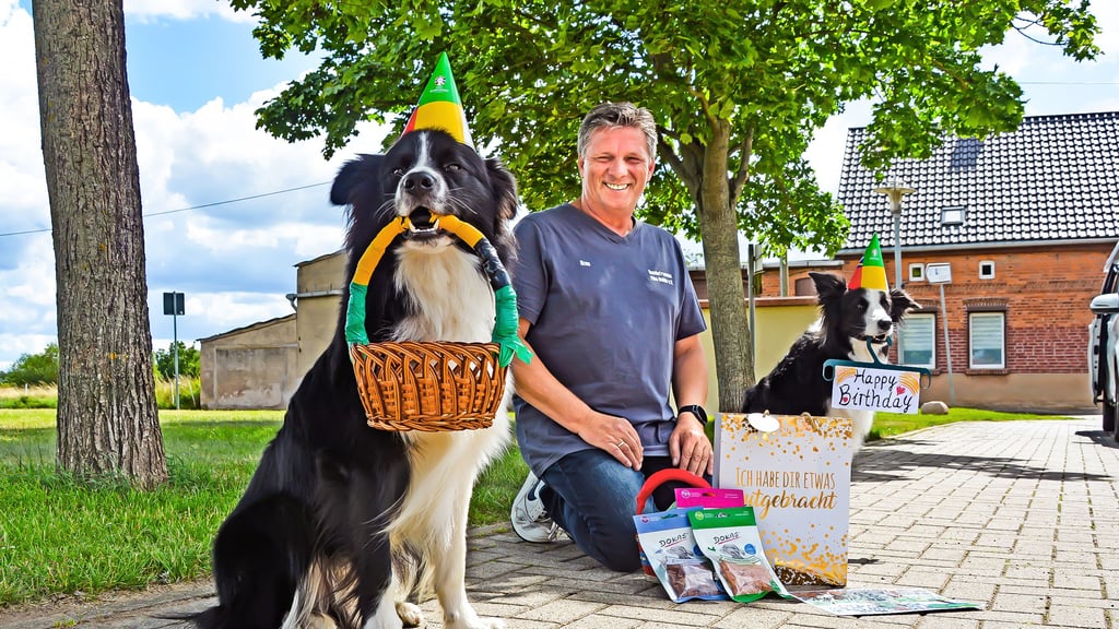 Die Hunde Tomte (links) und Fiona, die von Konstanze Schlegel für das Bodelschwingh-Haus gerade als Besucherhunde ausgebildet werden, haben dem ersten Hundefreunde-Vorsitzenden Remo Röhr mit einer besonderen Überraschung zum zehnjährigen Bestehen des Vereins gratuliert.