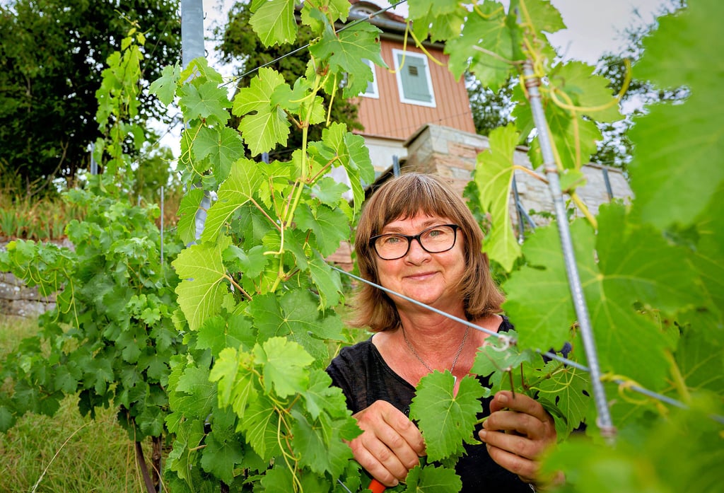 „Ein schnörkelloser, ehrlicher Wein“: Petra Wiegel setzt voll auf die Rebsorte Gutedel.