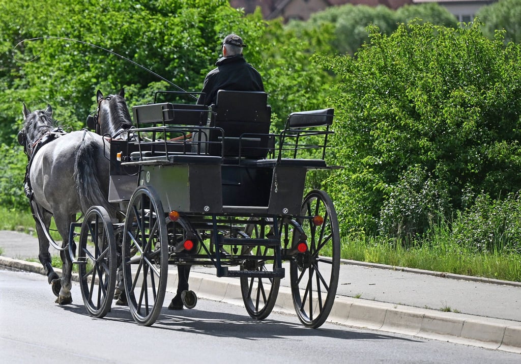 Das Gespann kam von der Fahrbahn ab. (Archivbild/Illustration).
