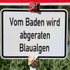 Eine Routinekontrolle zeigte: Der Muldestausee ist aktuell belastet. (Symbolbild)