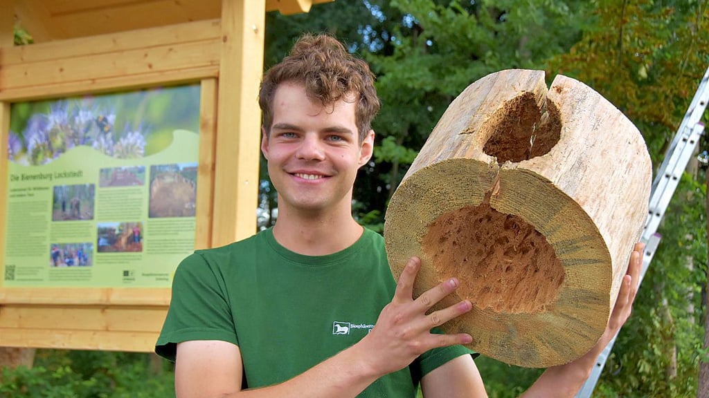 Lasse von Rützen absolviert ein Freiwilliges Ökologisches Jahr im Unesco-Biosphärenreservat Drömling.