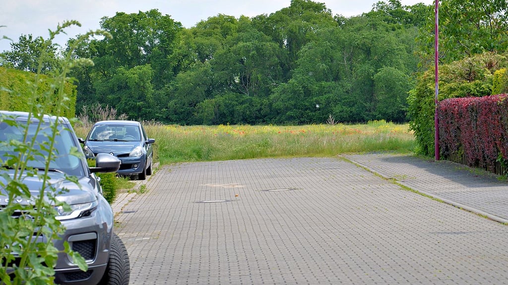 Am Ende dieser Straße der Erich-Weinert-Siedlung hat die Stadt Staßfurt eine erste Begutachtung für einen Spielplatz unternommen.