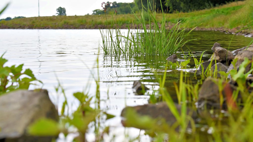 So idyllisch die Elbe auch wirkt. Selbst im Uferbereich lauern bei Niedrigwasser Gefahren, die nicht unterschätzt werden sollten.