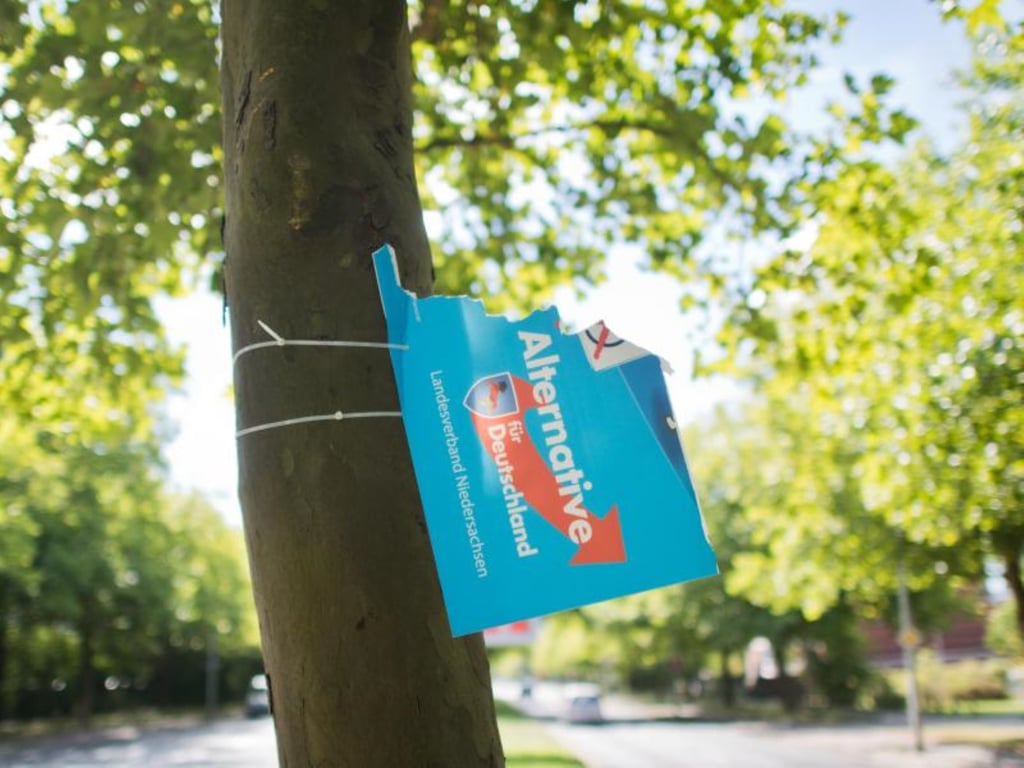 Im Landkreis Mansfeld-Südharz hat die AfD zuletzt große Wahlerfolge eingefahren. Nun kommt harte Kritik aus den eigenen Reihen, dass man sich nicht für die Bürger, sondern nur für die eigenen Macht-Interessen interessiere.