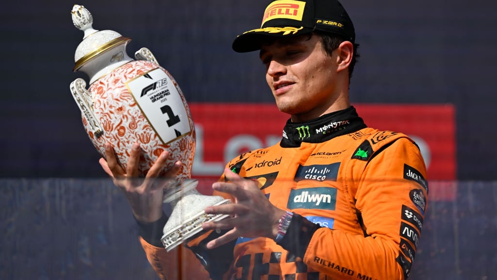Lando Norris holte sich den Sieg in Ungarn mit einer gewagten Strategie.