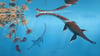 Die Illustration zeigt das Reptil Plesionectes longicollum, das zur Zeit der Dinosaurier durchs Meer schwamm.