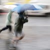 Das Wetter in Sachsen-Anhalt wird Anfang August regnerisch.