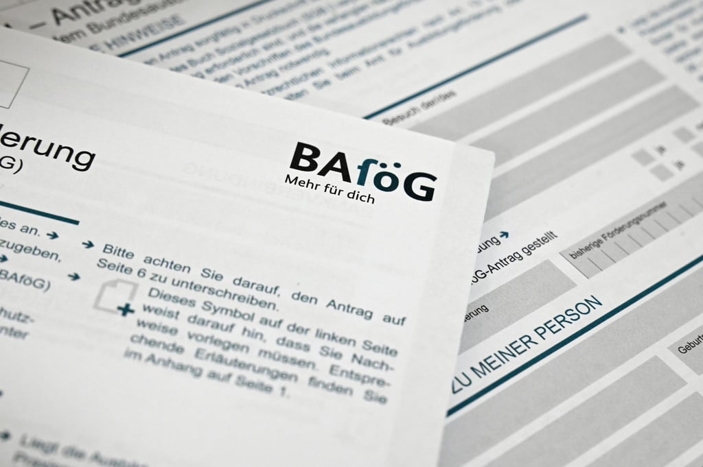In Sachsen-Anhalt gab es im vergangenen Jahr so wenig Bafög-Empfänger wie seit 1991 nicht mehr. (Symbolbild)