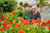 Um die Monatswende Juli/August herum und für etwa vier Wochen blühen die Blutblumen auf dem Hof von Carol Odrich und Andrea Kurras in Fllemmingen so prächtig wie auf diesem Bild zu sehen. 