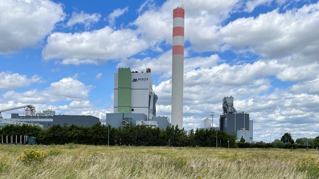 Auf einer Agrarfläche neben dem Mercer-Werk im Arneburger Industriepark sollen Gewächshäuser gebaut werden.