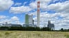 Auf einer Agrarfläche neben dem Mercer-Werk im Arneburger Industriepark sollen Gewächshäuser gebaut werden.
