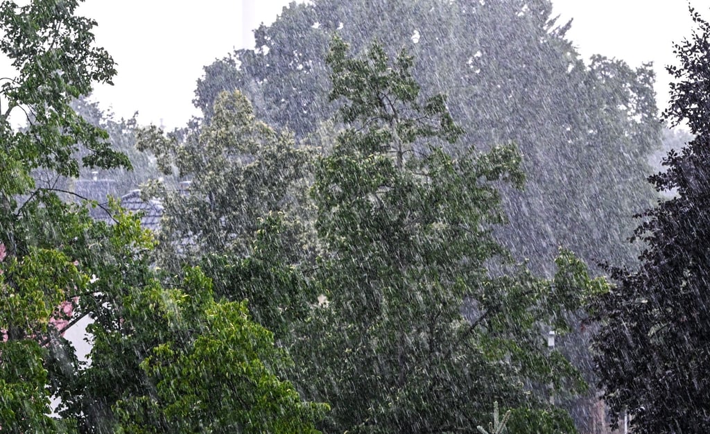 Regnerisch und windig bleibt das Wetter heute in Berlin und Brandenburg – bald wird es freundlicher. (Archivbild)