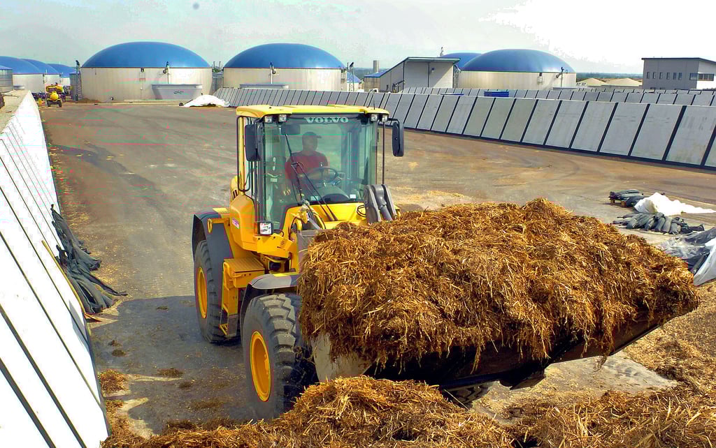 In der Biogasanlage in Könnern soll demnächst nicht nur Maissilage, sondern auch Hühnertrockenkot zur Energieerzeugung genutzt werden.