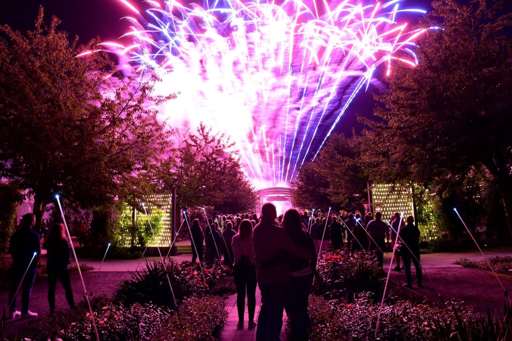 Dieses Foto stammt von der letzten „Nacht der 1.000 Lichter“, die 2019 in Sangerhausen stattfand. Bei der Neuauflage am 23. August soll das Programm deutlich größer ausfallen.