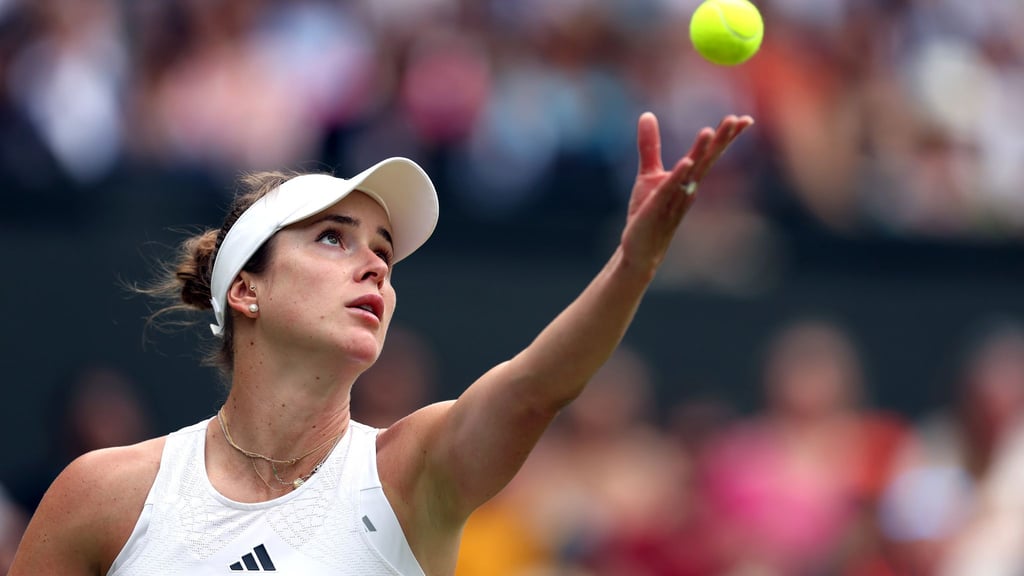 Jelina Switolina hat Hasskommentare in den sozialen Medien gegen sich öffentlich gemacht.