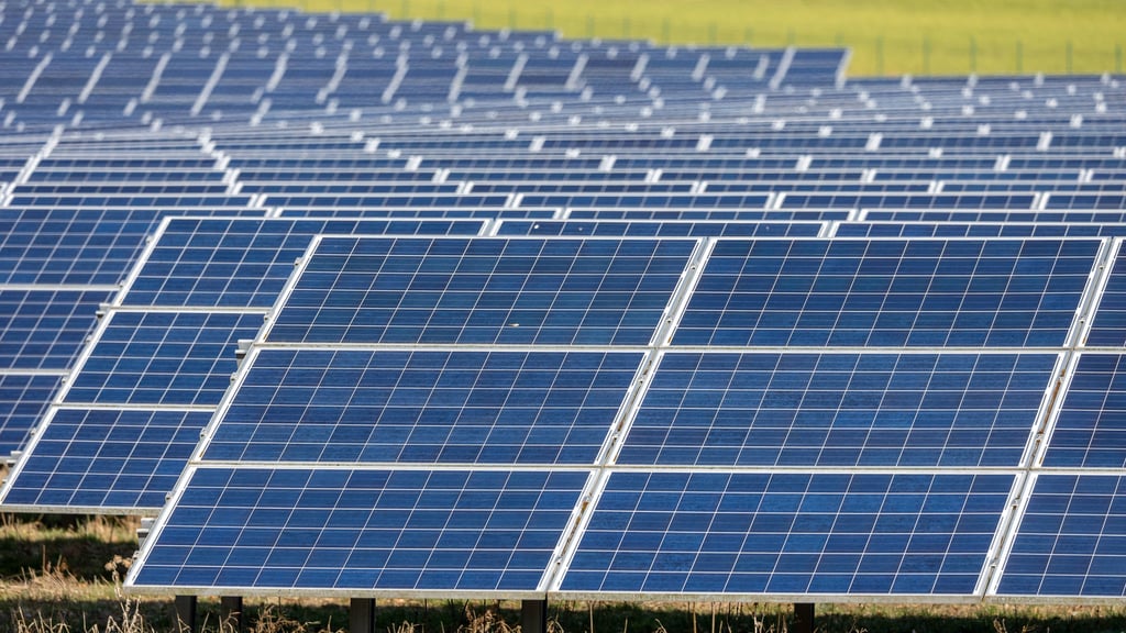 Die Assetseeds Germany GmbH wollte bei Werben (Elbe) im Landkreis Stendal einen Solarpark errichten. Der Stadtrat lässt dies im Rahmen seiner Planungshoheit nicht zu.
