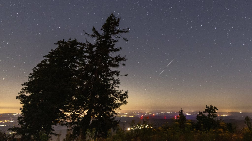 Im August gibt es viele Sternschnuppen zu sehen – die meisten üblicherweise in der Nacht vom 12. auf den 13. August.