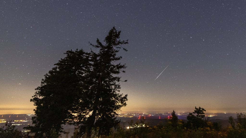 Im August gibt es viele Sternschnuppen zu sehen – die meisten üblicherweise in der Nacht vom 12. auf den 13. August.
