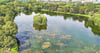 Momentan sieht die Oberfläche des Stadtsees in Stendal vergleichsweise gut aus. Aber der Schein trügt. An der Seite des Einlasswehr bilden sich bereits wieder Wasserpflanzen wie das Hornkraut, wie unsere Fotomontage verdeutlicht. 