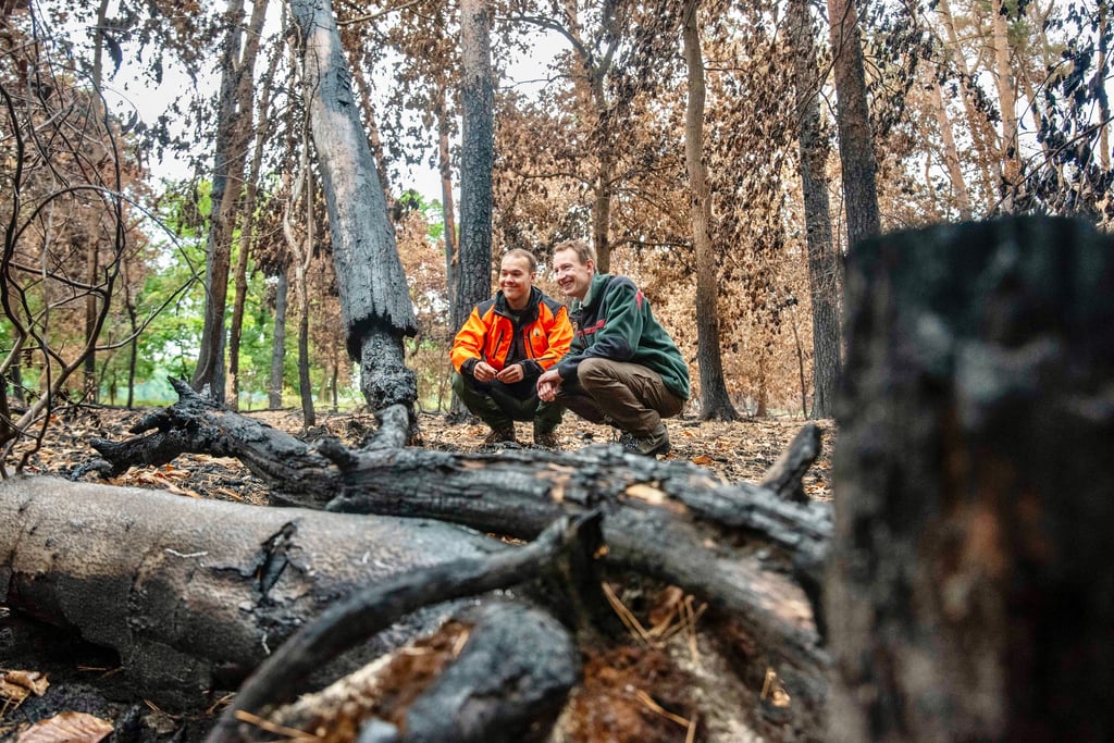 Nach dem Waldbrand bei Jütrichau: Die Forstleute Jakob Wittkamp und Leo Kulkowski (rote Jacke) bei einer Bestandsaufnahme.