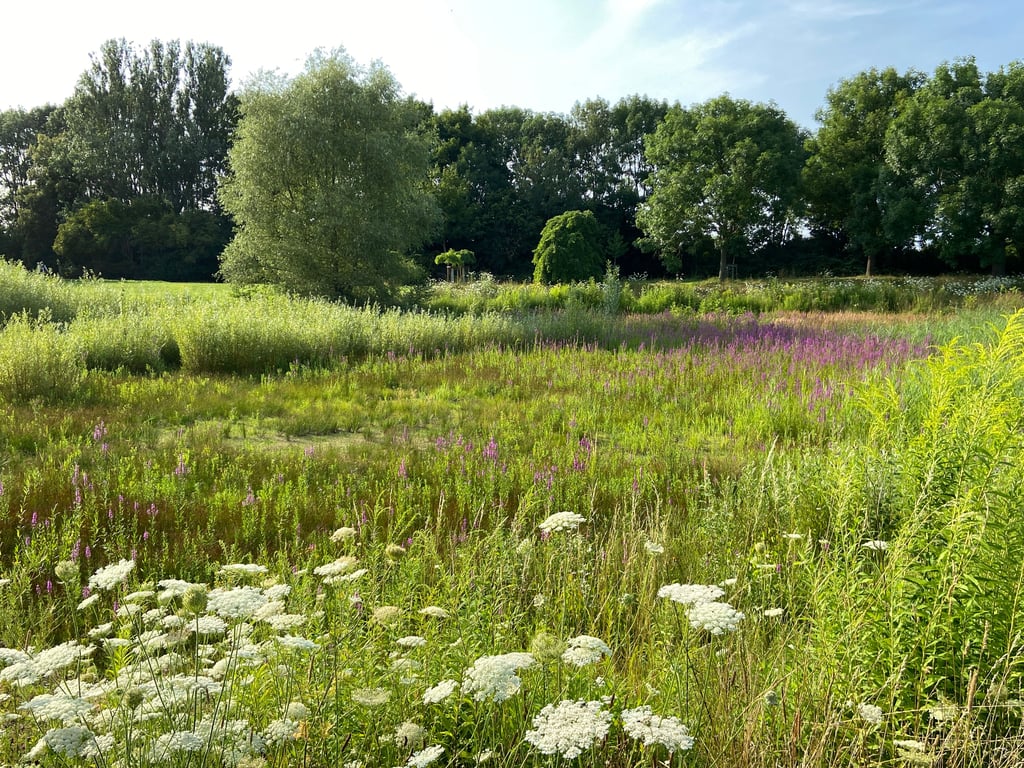 Der Florapark-Garten in Magdeburg-Olvenstedt soll saniert werden.