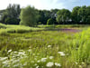 Der Florapark-Garten in Magdeburg-Olvenstedt soll saniert werden. 