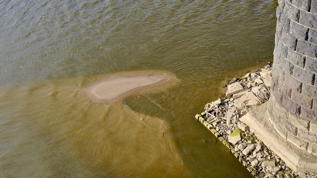 Die Elbe erreichte am 10. Juli einen neuen Tiefststand. Am Pegel Magdeburg waren es nur noch 43 cm, das sind drei Zentimeter weniger als der bisherige Minimalwert. Am Brückenpfeiler der Schönebecker Elbebrücke wurden die angespülte Sandbank und Reste einiger Fahrräder sichtbar. Auch die hölzernen Rammpfähle des Brückenfundaments ragten aus dem Wasser.