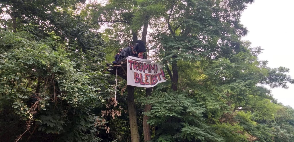 Gegen die Rodung von Bäumen protestieren Akteure in Magdeburg. In rund sieben Metern Höhe haben sie eine Plattform aufgebaut, auf der am Vormittag drei Personen zu finden waren.