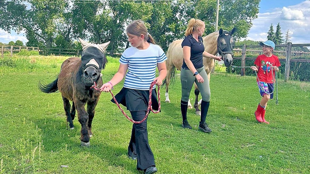 Kinder und Jugendliche des Freizeittreffs „Wiesengrund“ erleben mit Sarah Siegert (Mitte) auf dem Zucht- und Dressurstall Heidehof in Züllsdorf einen Tag Reitspaß und tauchen ein in die Berufswelt auf einem Reithof.