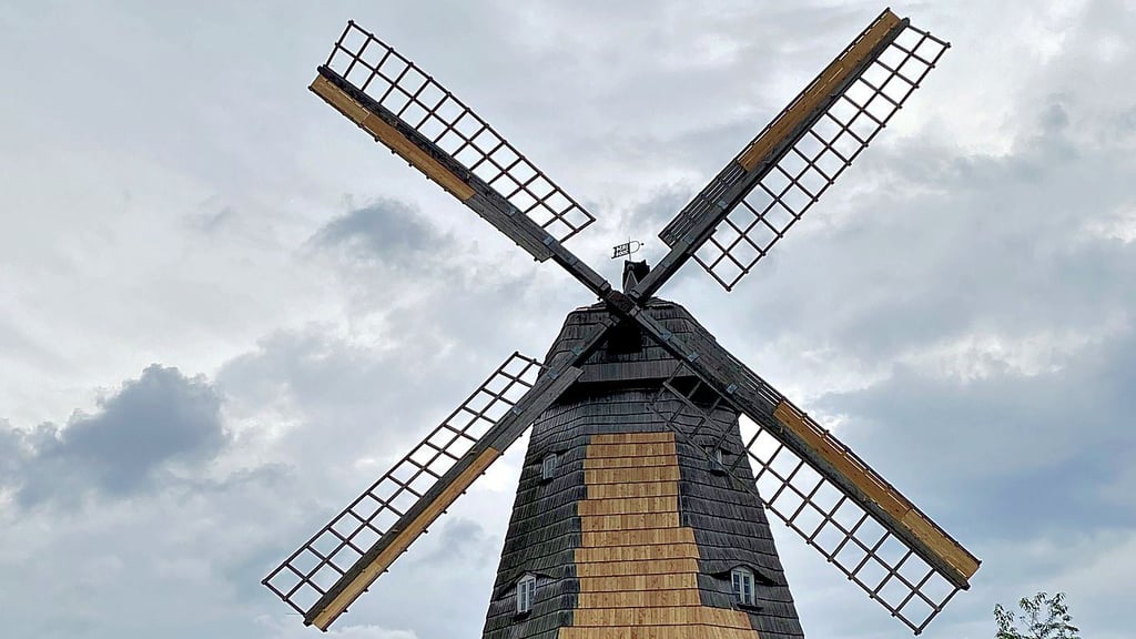 Die helle Farbe der neuen Schindeln an Jerichows Windmühle soll sich mit der Zeit anpassen.