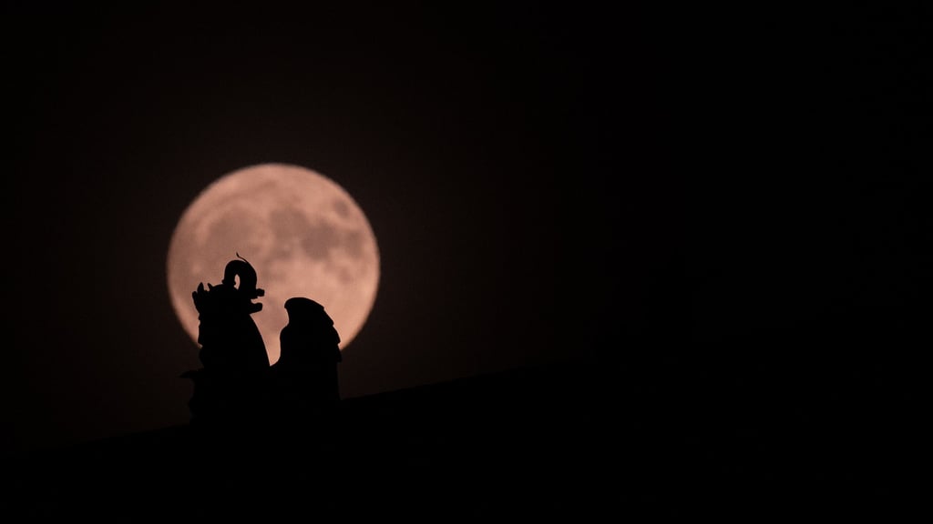 Der Vollmond in seiner ganzen Pracht: Aber heulen Wölfe ihn wirklich an?
