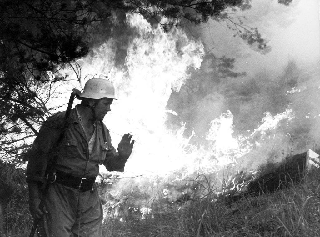 Fünf Feuerwehrleute starben, Tausende Hektar Wald brannten: 1975 richtete die Waldbrandkatastrophe in der Lüneburger Heide verheerende Schäden an. (Archivfoto)