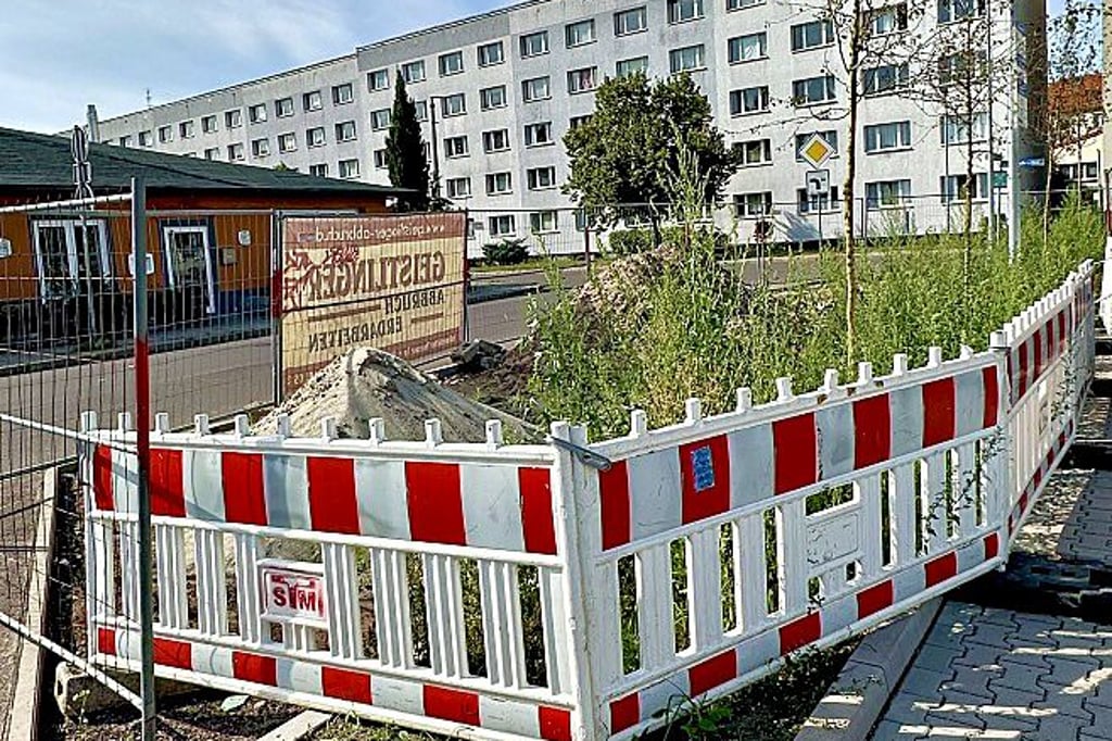 Die Dauerbaustelle an der Wilhelm-Külz-Straße in Burg kratzt an den Nerven vieler Burger. Wie lange noch?