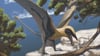 Rekonstruktion des Flugsauriers Eudimorphodon