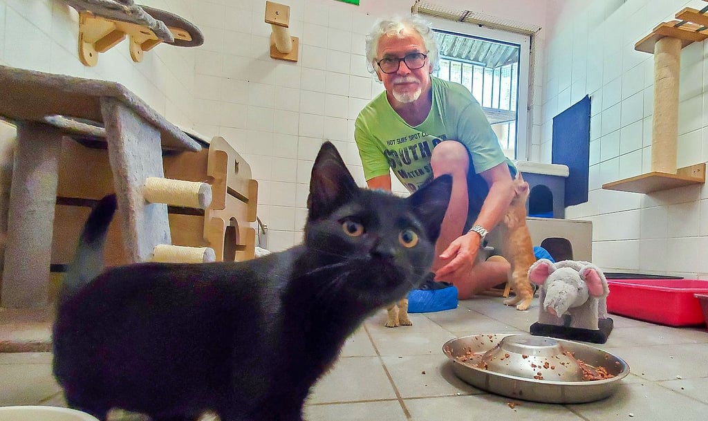 Im Tierheim Wolmirstedt suchen vor allem Katzen noch ein neues Zuhause. Beim Sommerfest bieten Otfried Müller und die Mitarbeiter einen Einblick.