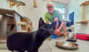 Im Tierheim Wolmirstedt suchen vor allem Katzen noch ein neues   Zuhause.  Beim Sommerfest bieten Otfried Müller und die Mitarbeiter einen Einblick. 