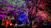 Bei der Illumination werden im Park auch Gärten, Bäume, Sträucher und Wege angeleuchtet.