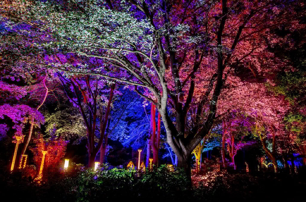 Bei der Illumination werden im Park auch Gärten, Bäume, Sträucher und Wege angeleuchtet.