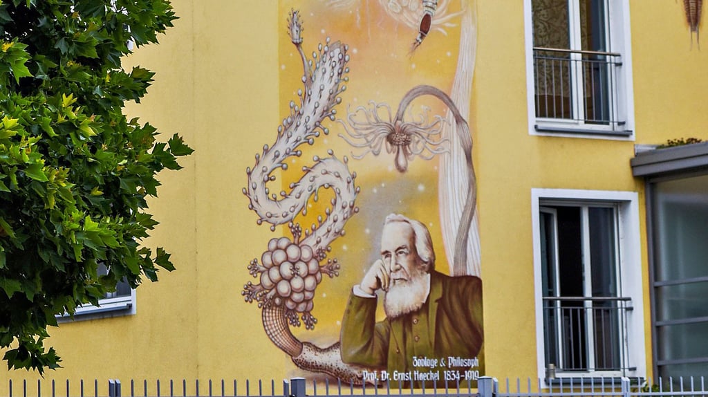 In der Großen Ritterstraße in Merseburg, wo Ernst Haeckel aufwuchs, erinnert heute diese Malerei an einem neuen Wohnhaus an ihn.
