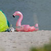 Das Wetter in Sachsen-Anhalt wird Anfang August wieder sommerlich.