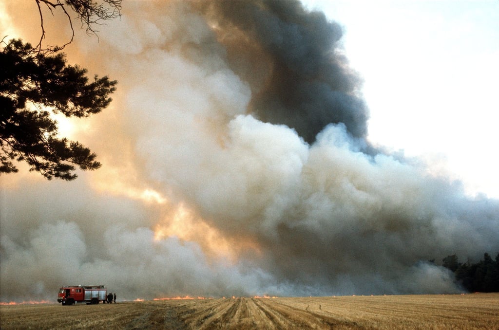 Eine große Trockenheit begünstigte die Waldbrände. (Archivbild)