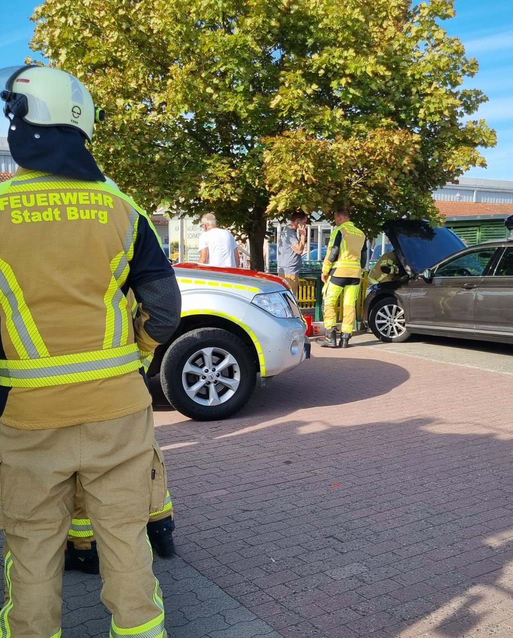 Auf dem Gelände eines Nahversorgungszentrums in Burg musste die Feuerwehr eingreifen - eine kleine Schlange kam in einem Fahrzeug zum Vorschein und hat sich ein neues Versteck gesucht.