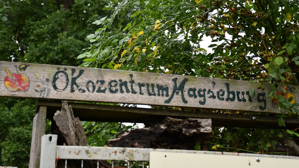 Das Ökozentrum Magdeburg feiert 35-jähriges Bestehen. Die Zukunft der Freizeiteinrichtung ist weiter unsicher.