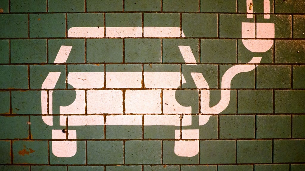 Elektroautos der heimischen Autokonzerne sind in Deutschland derzeit gefragt. (Archivbild)