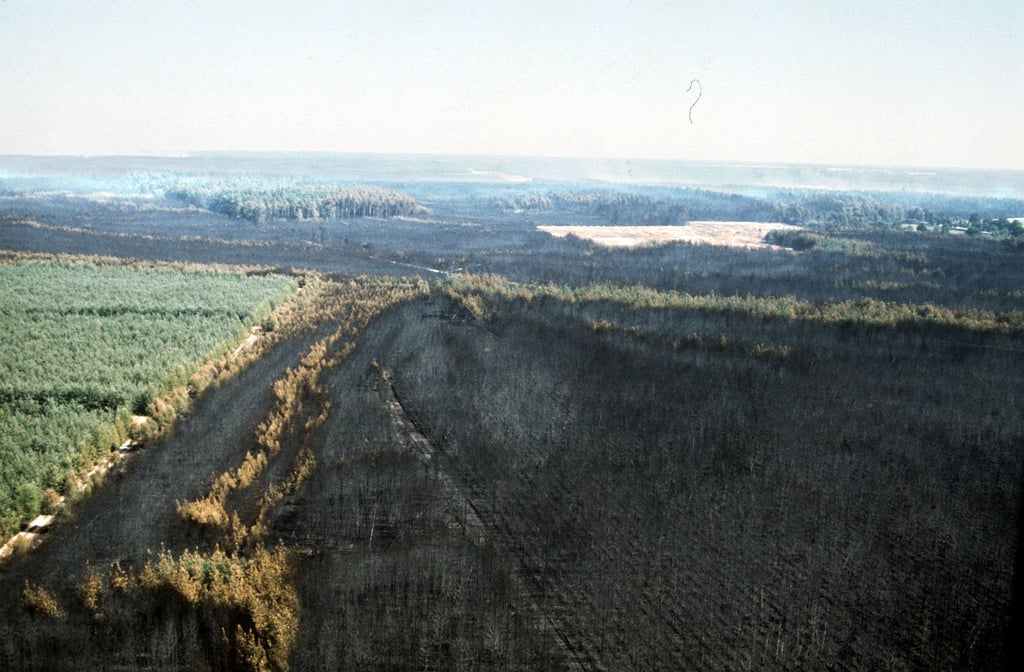 Der Waldbrand vernichtete 8.000 Hektar Bäume und 5.000 Hektar Moor und Heide mit ihrer Tier- und Pflanzenwelt. (Archivfoto)
