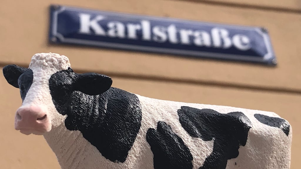 Woher hat die Karlstraße in Stendal ihren Namen? Und was haben Kühe damit zu tun?