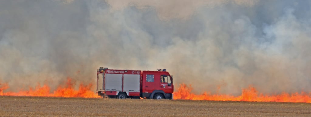 Feuerwehren sind am Donnerstag, 7. August, zum Feldbrand bei Ziepel gerufen worden.